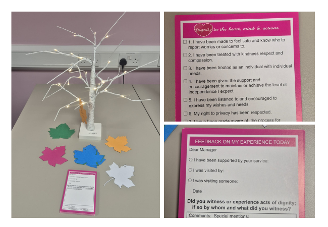 Celebrating Dignity Action Month with Our Dignity Tree