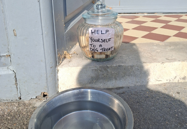 A little treat for our pet visitors